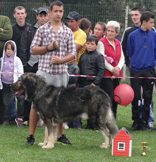 expo pastorala Rucar20