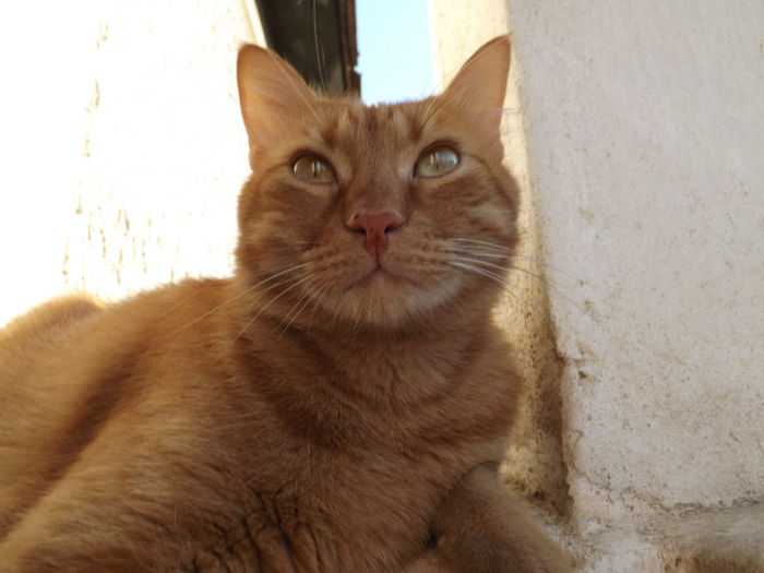 DSCF5579