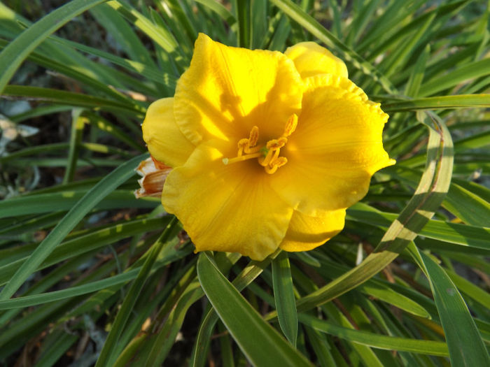 DSCF5623