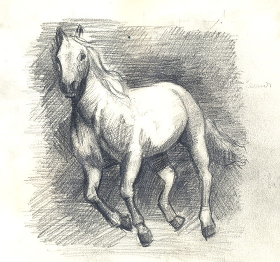 horse-2-copy - Caluti