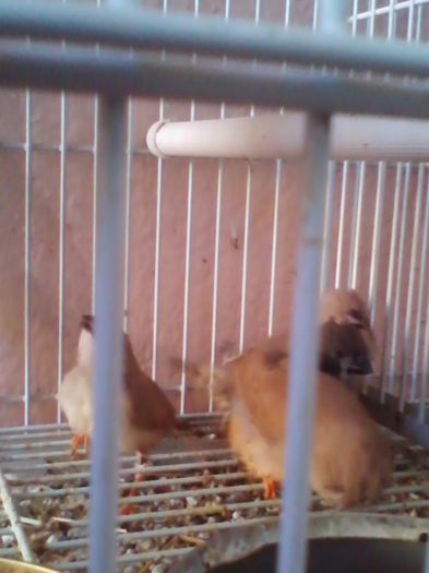 Copy (2) of IMG_20130915_160924