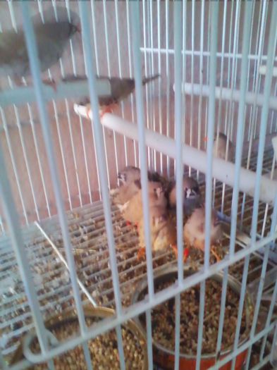 Copy of IMG_20130915_160508