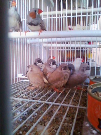 Copy of IMG_20130915_160520