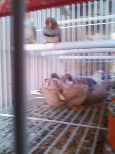 Copy of IMG_20130915_160521