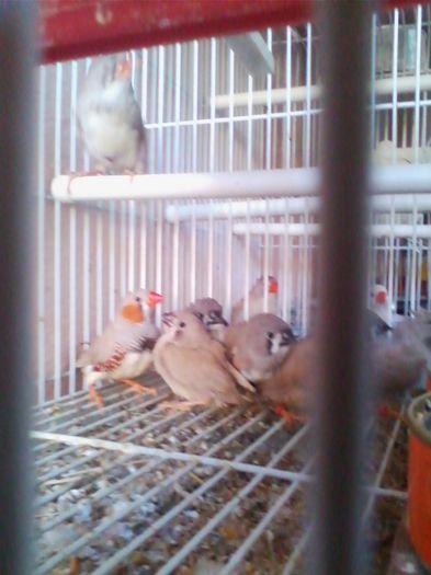 Copy of IMG_20130915_160527