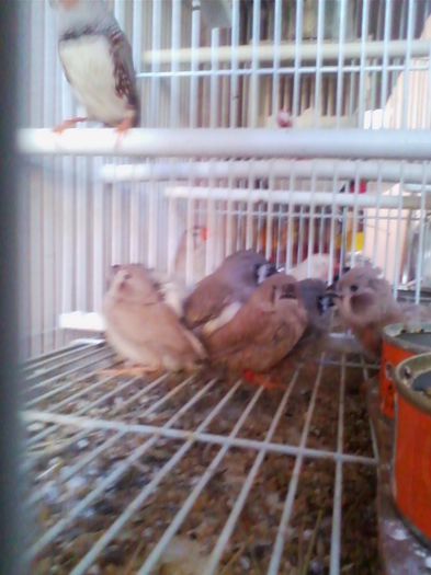 Copy of IMG_20130915_160534