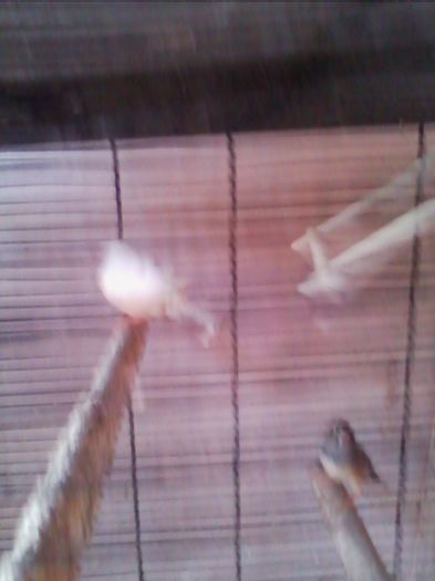 Copy of IMG_20130915_160711