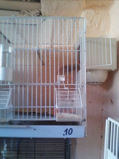 Copy of IMG_20130915_160821 - zebrute