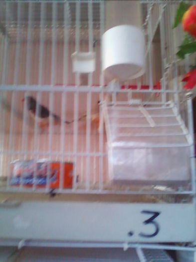 Copy of IMG_20130915_160840