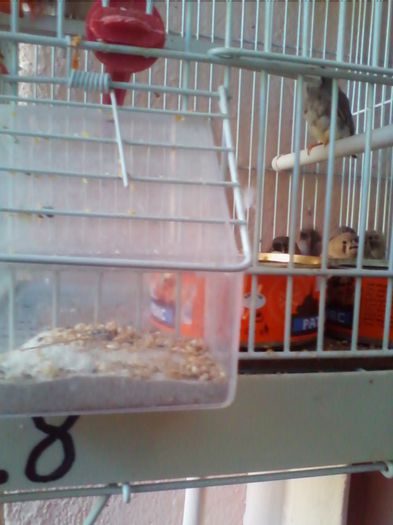 Copy of IMG_20130915_160913