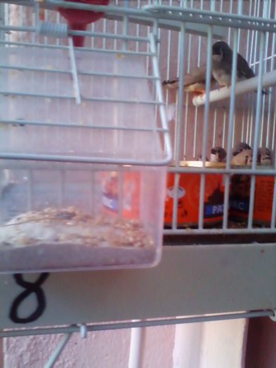 Copy of IMG_20130915_160916