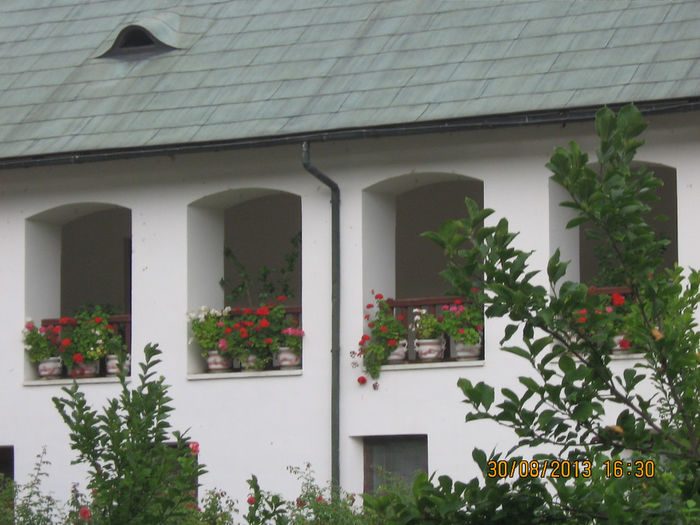 Pict 014; Manastirea Cozia
