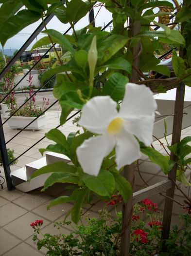 Pict 128 - 2013 - Paralia Katerini