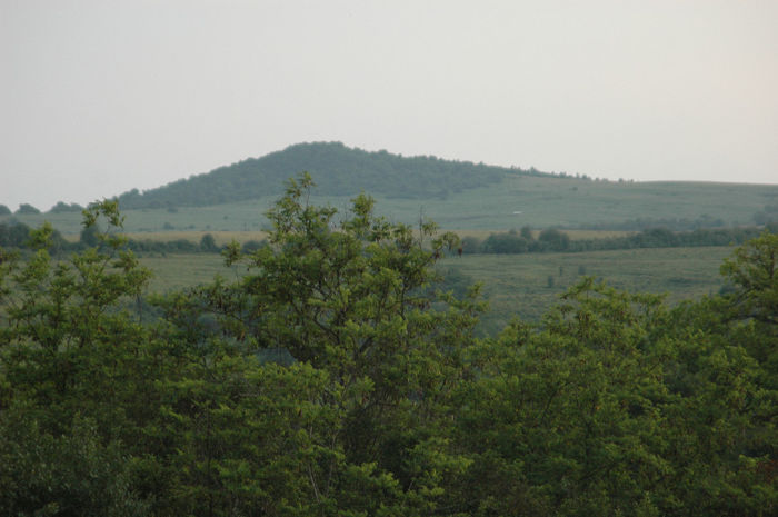 DSC_1999