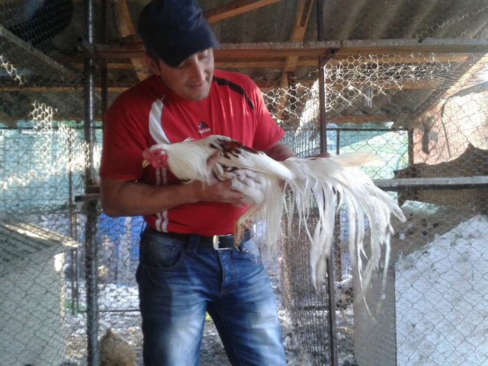 mihaita rusu ghidigeni