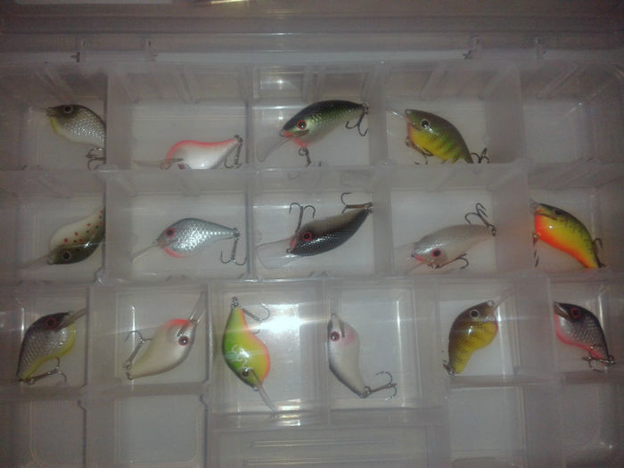 15 buc gata inainte de testul final - Atelier