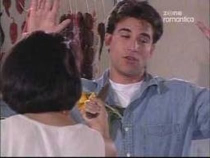 images (8)
