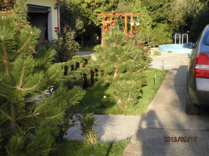 121 - curtea toamna 2013