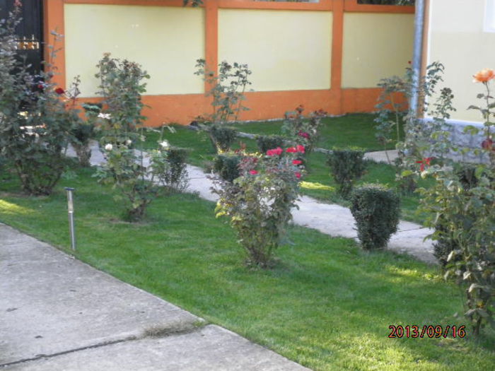 120 - curtea toamna 2013