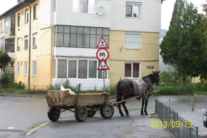 100_2151 CE FAC POLITISTI IN ACESTE CAZURI ? TE TRIMITE LA PRIARIE SI ACESTIA LA POLITIA LOCALA !!!!