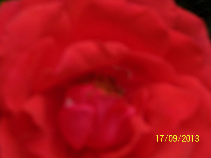 100_5950