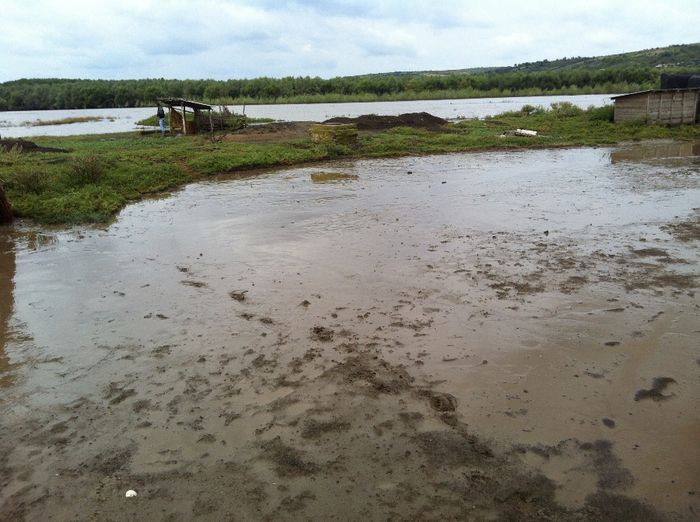 image - Dezastru dupa inundatii