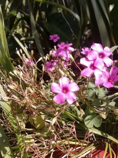 2013-07-16 10.15.52 - Copy