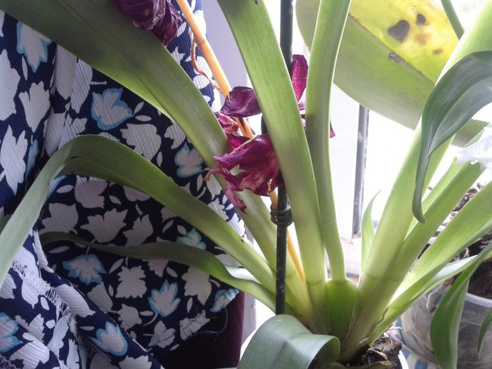 2013-07-21 10.21.14 - Copy