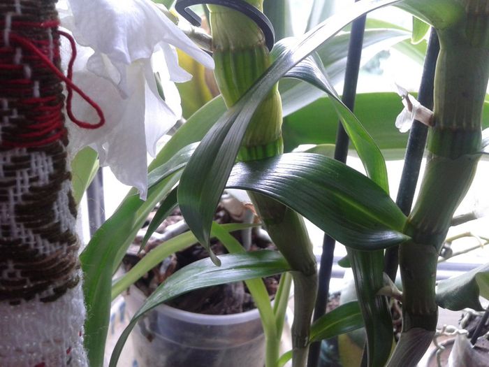 2013-07-21 10.21.38 - Copy