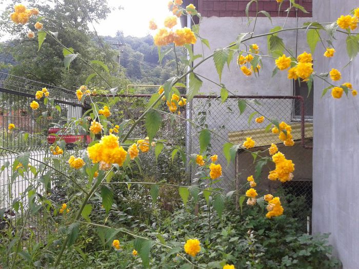 2013-07-21 10.25.51 - Copy