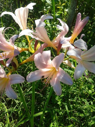 2013-07-24 10.28.47 - Copy