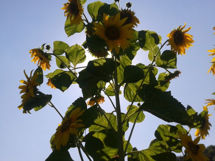 2013-07-24 10.40.50 - Copy