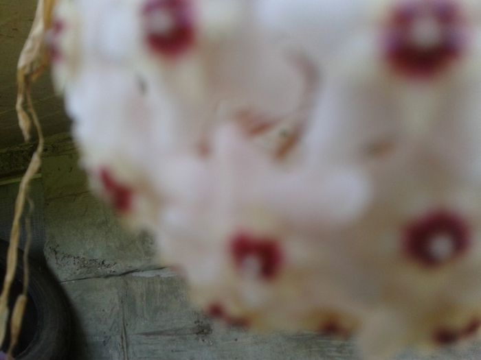 2013-08-26 10.55.31 - Copy