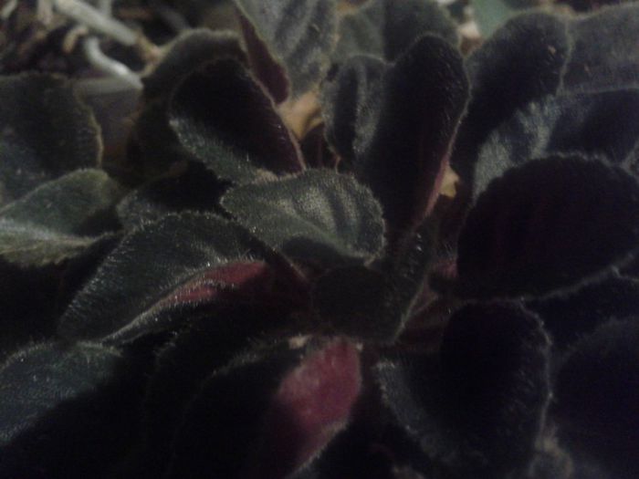 2013-08-28 00.56.47