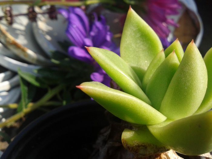 2013-08-29 10.57.22 - Copy