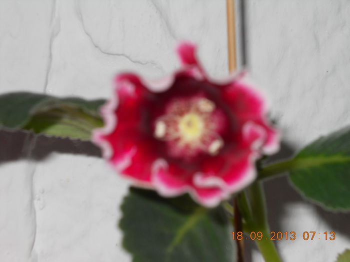 006