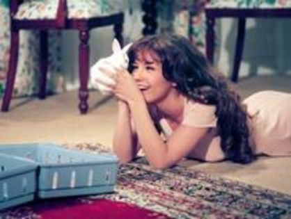 13546277_JEILKZJSV - Maria la del barrio