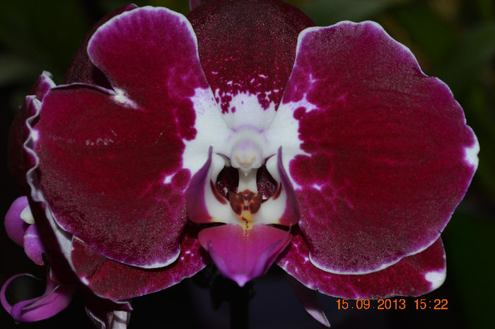 DSC_0001