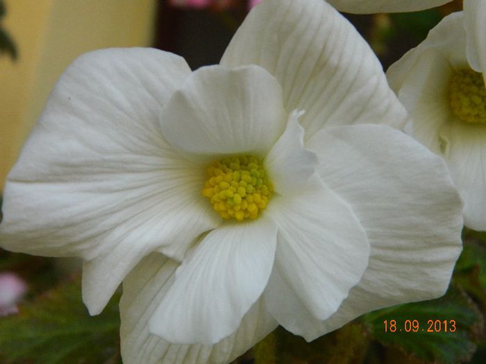 044