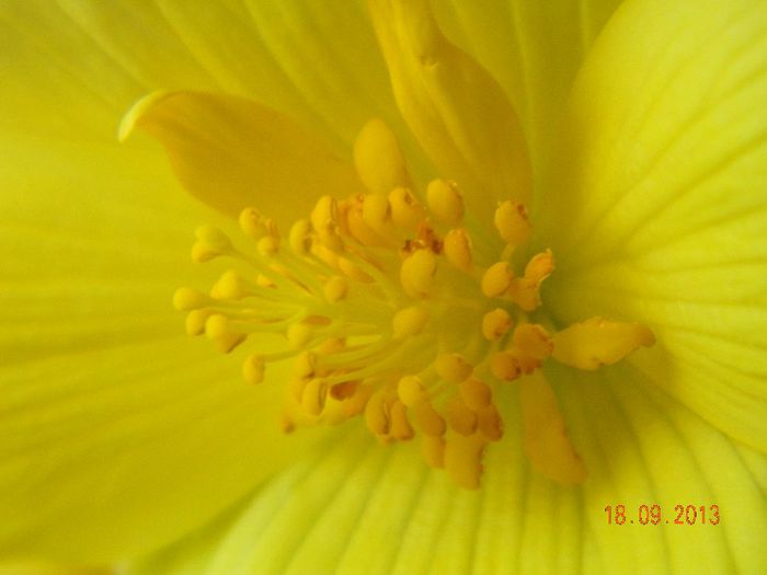 048