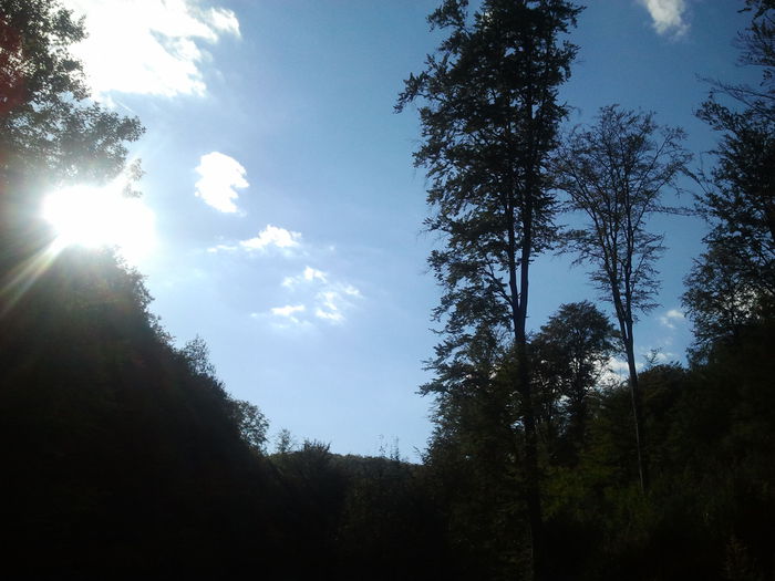 2013-09-08 17.25.46 - Diverse