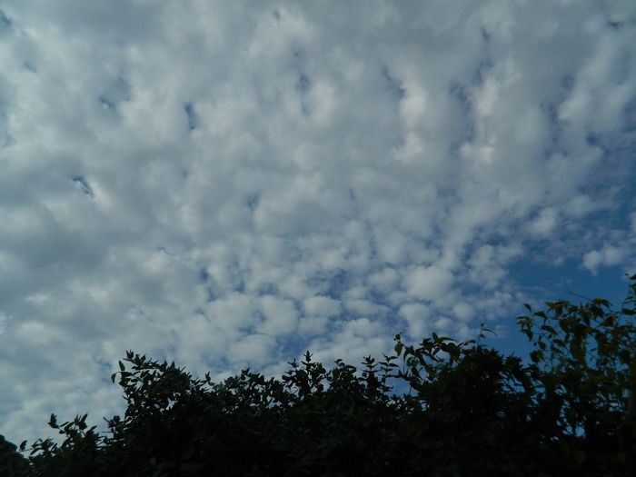 DSCN1660
