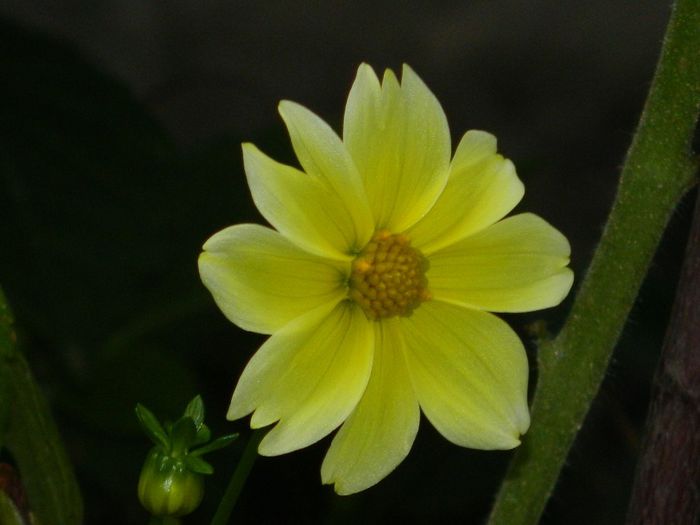 DSCN1670