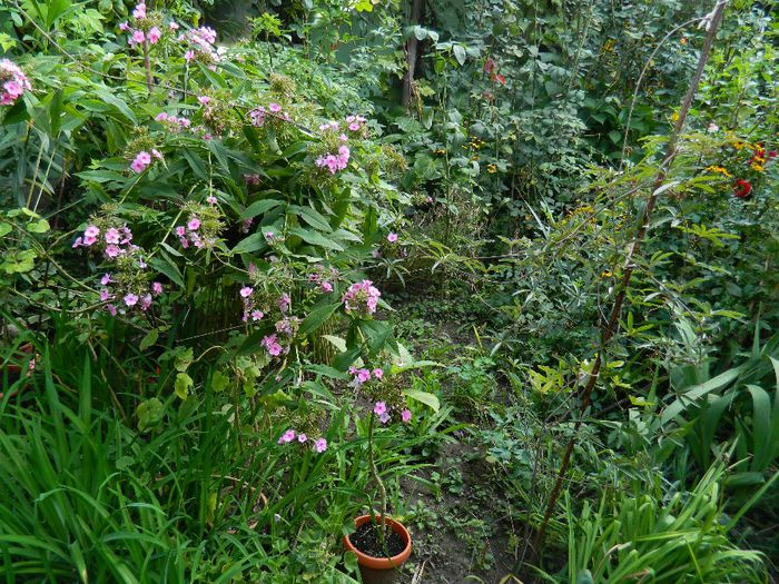 DSCN1826 - SEPTEMBRIE 2013