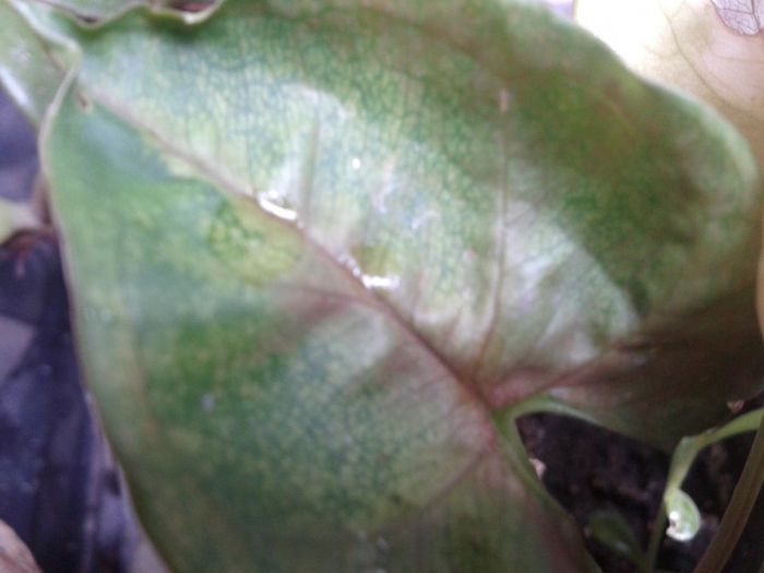 2013-08-29 10.39.28 - Copy