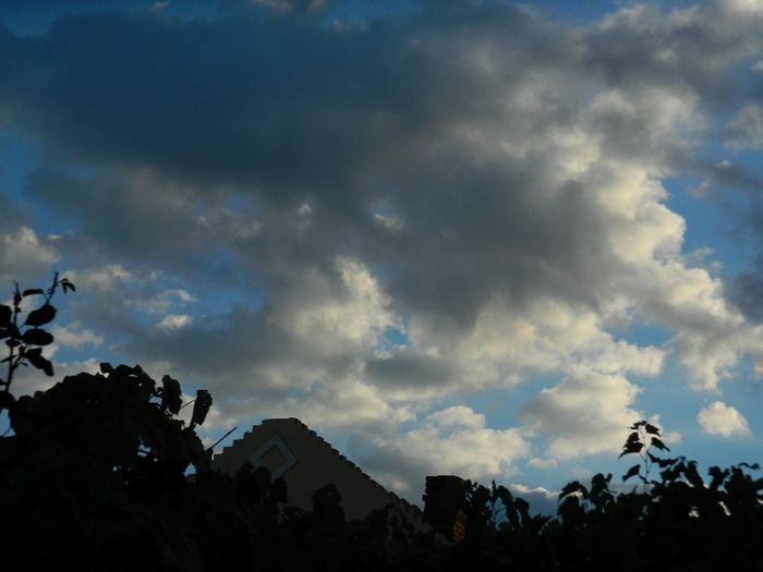 DSCN2164