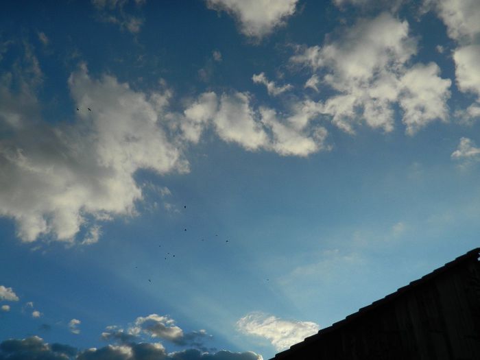 DSCN2189