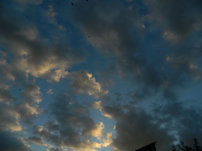 DSCN2223