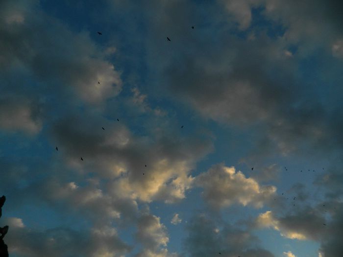 DSCN2224