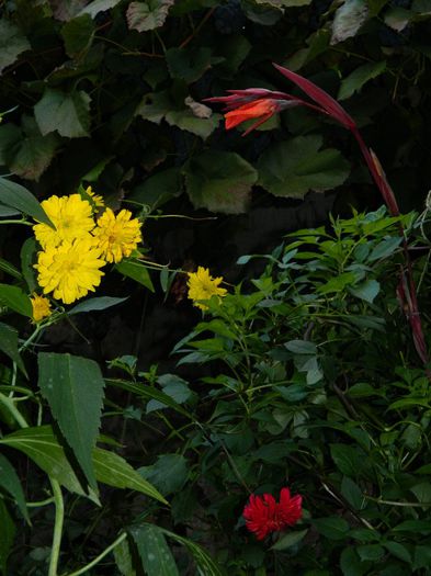DSCN2237